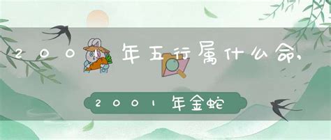 2001年五行属什么|2001年是什么年什么命 2001年是什么年五行属什么